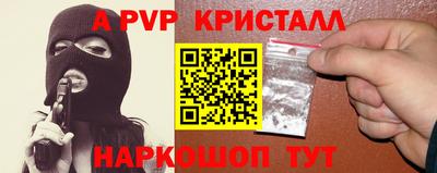 крисы Славгород