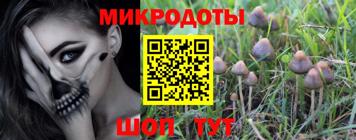 Псилоцибиновые грибы Psilocybe Ревда
