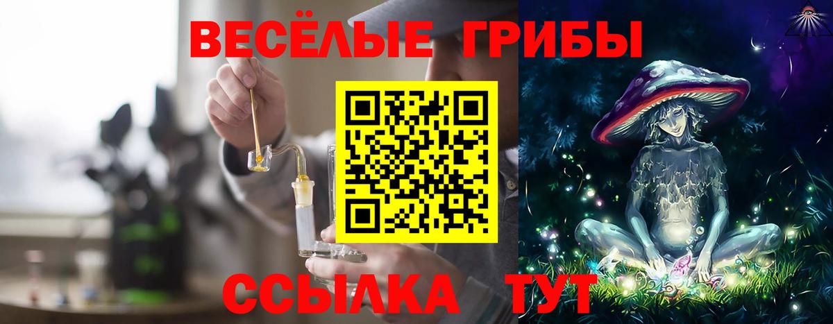 Галлюциногенные грибы GOLDEN TEACHER  Вход с VPN  где купить наркотик  Ревда 